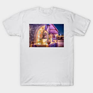 a dream is a wish T-Shirt